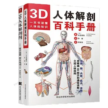 3D Энциклопедия Анатомии человека, Цветной Атлас Анатомии человека, Книги для взрослых, Управление здоровьем, Знания о человеческом теле.