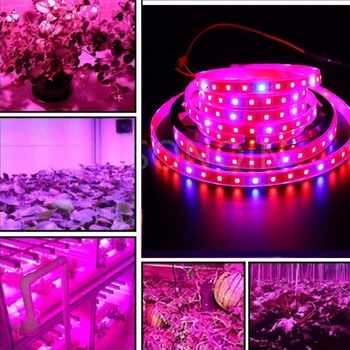 5 М 300 светодиодов Лампа для выращивания растений Ленточные фонари 12 В Световая лента Полный спектр Цветочная фитолампа для теплицы Гидропонный светильник для выращивания