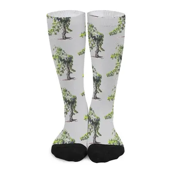 Vine Foot Carignan 3 Носки Мужские футбольные носки подарки для мужчин Забавные носки компрессионные носки Женские