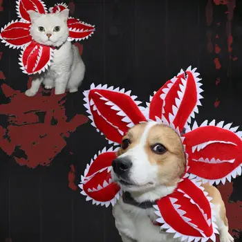 Домашняя кошка, собака, шляпа на Хэллоуин, Кепка, аксессуары для щенков, для маленьких собак, костюм собаки, шляпы для собак, костюмы для кошек, товары для домашних животных