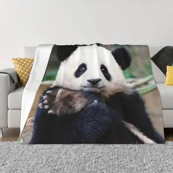Одеяло Fubao Aibao Panda Fu Bao, зимнее теплое фланелевое одеяло с защитой от скатывания, долговечное по доступной цене